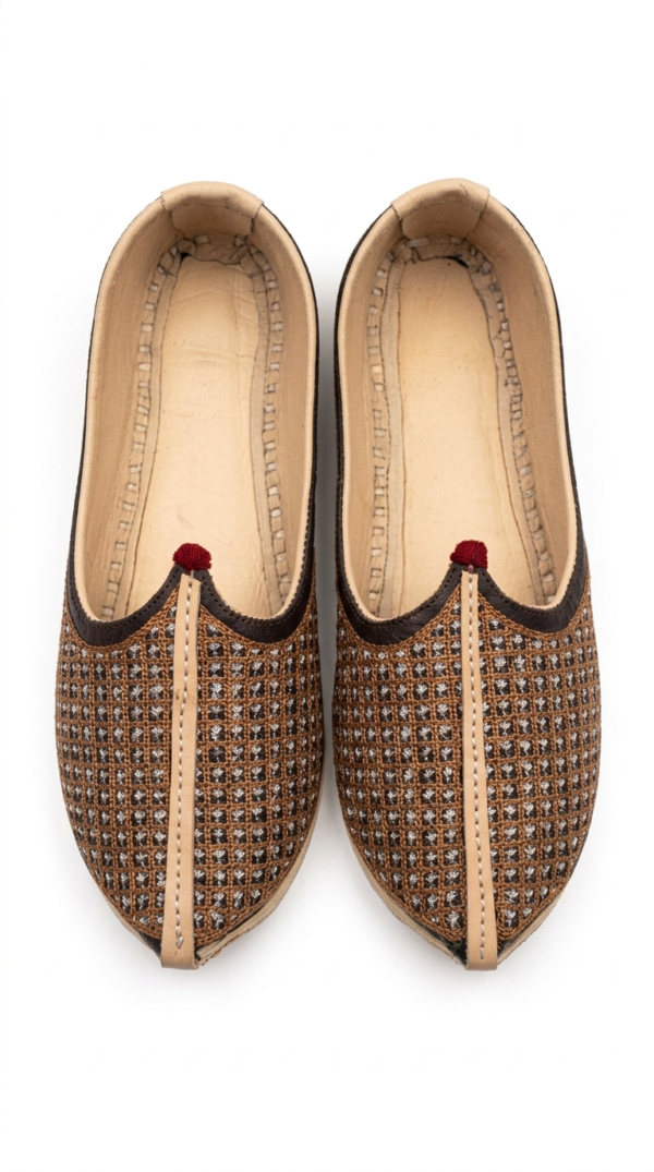 Rajasthani Mojari for Man